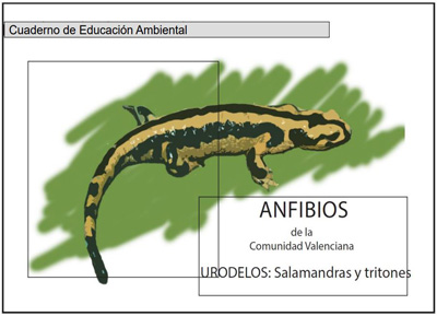 Cuaderno Anfibios: Salamandras y tritones