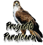 Proyecto Perdicera