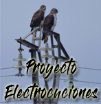 Proyecto Electrocuciones