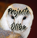 Projecte Òliba