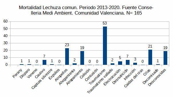 gráfica mortalidad lechuza común 2013-2020