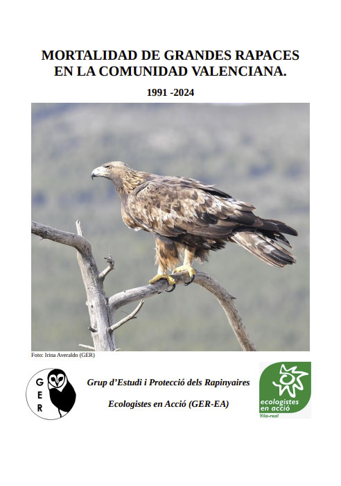 Informe sobre la mortalidad de grandes águilas en la Comunidad Valenciana 1991-2024