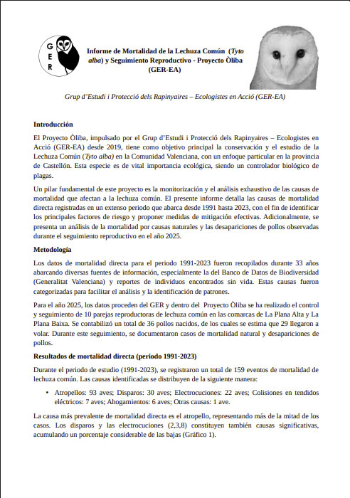 Nuevo Informe de mortalidad de la Lechuza común (periodo 1991-2023)
