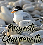 Proyecto Charrancito