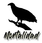 Mortalidad