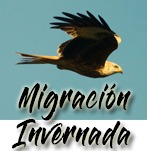 Migración e Invernada